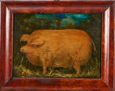 Lot English School, oil on coffer panel, A Pig, 22cm x 30cm, framed