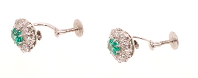 Lot 556 - Pair of emerald and diamond cluster earrings, each with an oval mixed cut emerald measuring approximately 5.8 x 4.6mm, surrounded by a border of eight brilliant cut diamonds in white gold claw s...