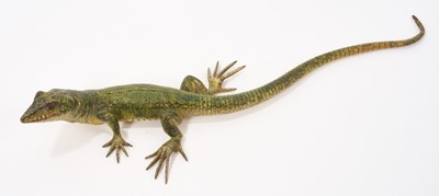 Lot Early 20th century Austrian cold painted bronze sculpture by Franz Bergman, in the form of a lizard, signed with Bergman monogram in amphora vase, stamped Geschutzt, 27cm long. Provenance: Purch...