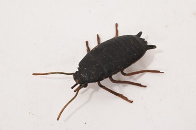 Lot 818 - Early 20th century Austrian cold painted bronze sculpture by Franz Bergman, in the form of a cockroach, 5cm long. Provenance: Purchased Hickmet Fine Art 2019 for £180