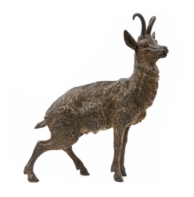 Lot Early 20th century Austrian cold painted bronze sculpture by Franz Bergman, in the form of a chamois, 18cm high