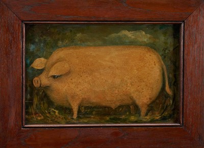 Lot English School, oil on panel - A Prize Pig, 18.5cm x 28.5cm, in wooden frame