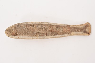 Lot 731 - Fossilised fish, Vinctifer comptoni, temporal range: Kimmeridgian-Aptian
