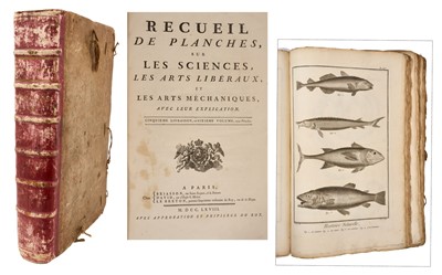 Lot 743 - Recueil de Planches sur Les Sciences, volume 6, 1748, large folio binding with board ends, extensively illustrated with natural history engravings