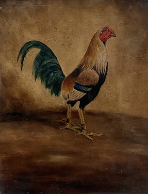 Lot English School, oil on board - A Fighting Cock, 43cm x 33cm, in glazed oak frame