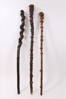 Lot 725 - Good antique root wood stick, gnarled tapering stem with horn ferrule, 95cm long, together with a similar stick