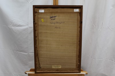 Lot 23 - J. Gould and H. Richter two hand coloured lithographs from the 'Monograph Of The Trochiliade, Or Family of Hummingbirds' and 'Eutoxeres Condamini', published by Hullmandel & Walton, in glazed frame...