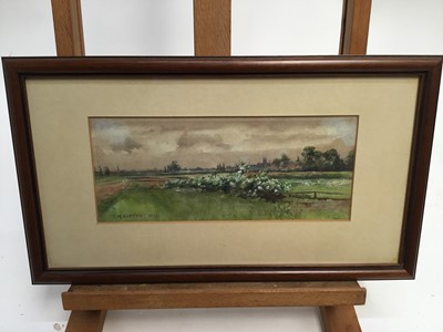 Lot 85 - Charlotte M. Alston (act.1887-1914) watercolour - a rural landscape, signed and dated 1913, in glazed frame, 11cm x 26cm