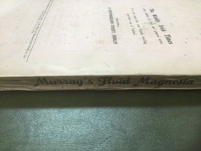 Lot 1587 - Sinn Fein Rebellion Handbook, Easter 1916 (2nd edit). Compiled by the Weekly Irish Times, Dublin